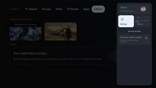 Google TV Settings