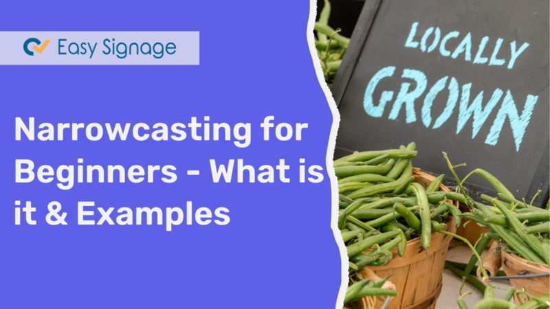 Narrowcasting for Beginners - What Is It & Examples