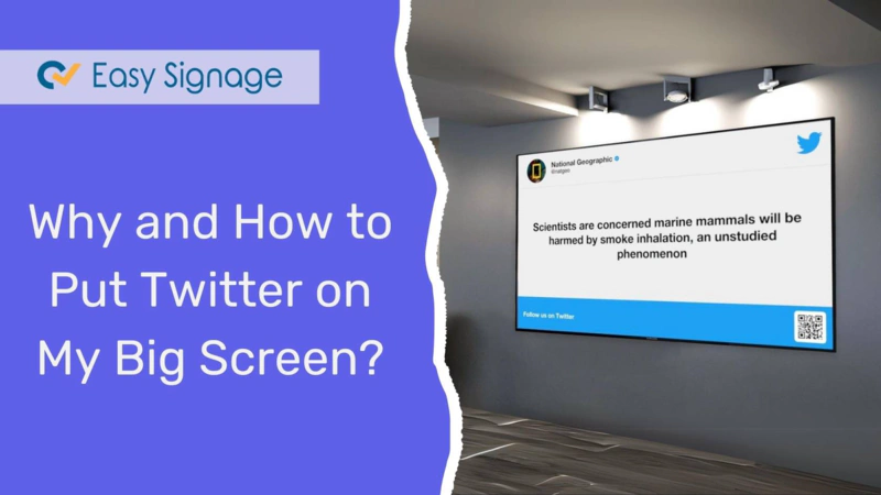 Why and How to Put Twitter on My Big Screen?