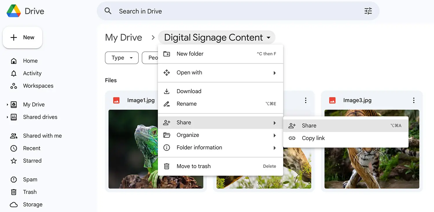 Share Google Drive