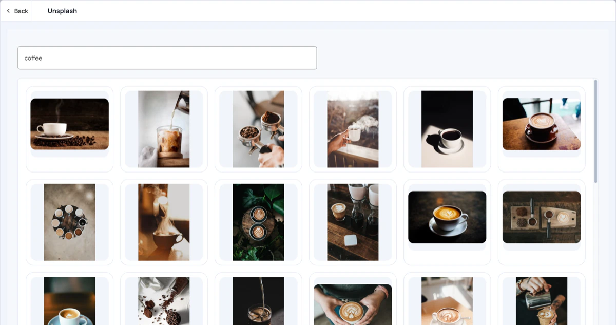 Unsplash search results